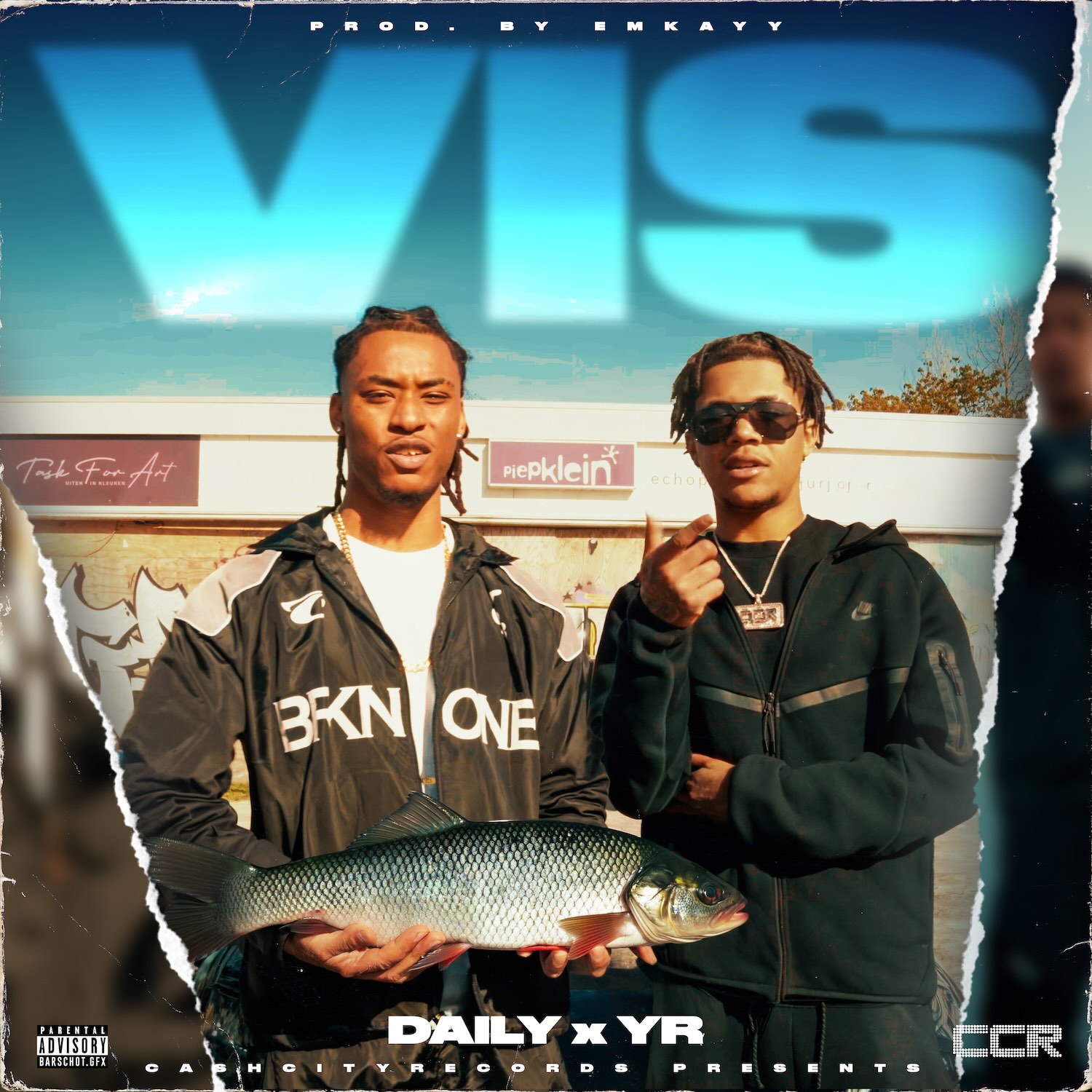 Daily x YR – Vis
